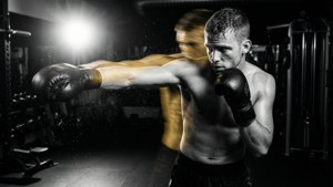 Shadow of a Champion