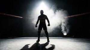 Shadow of a Fighter