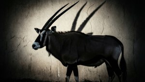 Shadow of the God-King