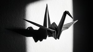 Shadow Play Crane