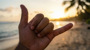 Shaka at Sunset