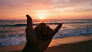 Shaka at Sunset