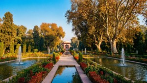 Shalimar Bagh Autumn Splendor