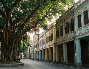 Shamian Island Stroll