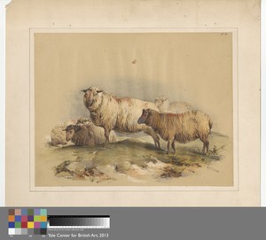 Sheep, No. 18