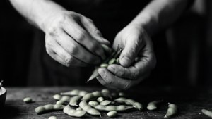Shelling Edamame