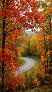 Shenandoah Autumn
