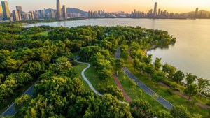 Shenzhen Bay Park Golden Hour