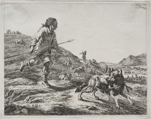 Shepherd Chasing a Wolf