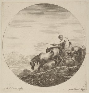 Shepherd on a Horse Driving a Herd of Various Animals