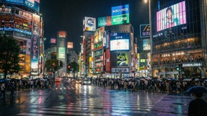 Shibuya Nights