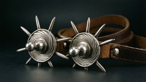 Shiny Spurs Close-Up