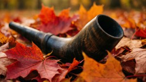 Shofar in Autumn Leaves