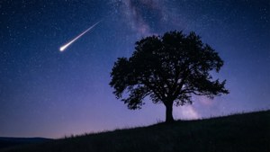 Shooting Star Dream