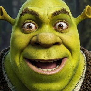 Shrek Funny Face