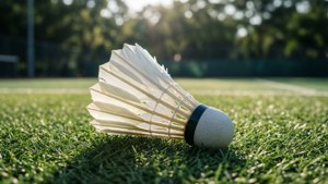 Shuttlecock on Grass
