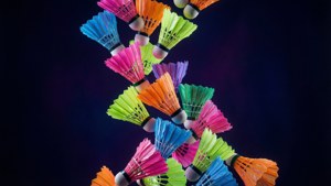 Shuttlecock Rain