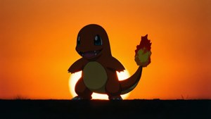 Silhouette at Sunset