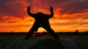 Silhouette at Sunset