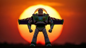 Silhouette Buzz Sunset