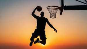Silhouette Dunk