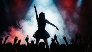 Silhouette Encore