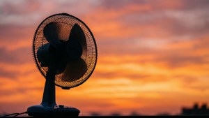 Silhouette Fan Sunset