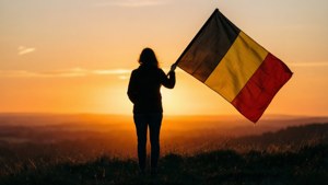 Silhouette Holding Flag at Sunset