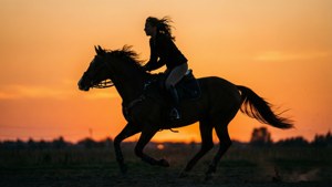 Silhouette Horse and Rider