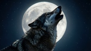 Silhouette Howl Therian