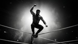 Silhouette Leap
