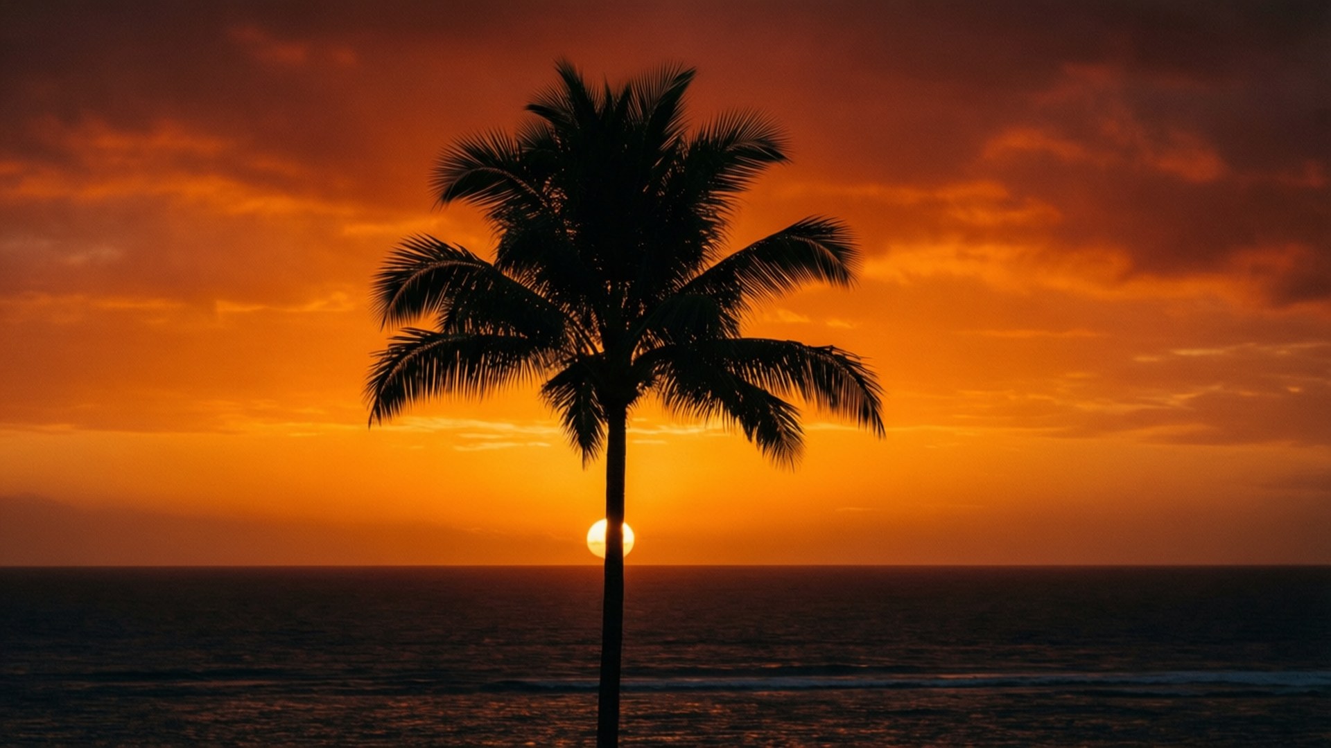 Silhouette Palm Sunset by Wallpapers.art Studio