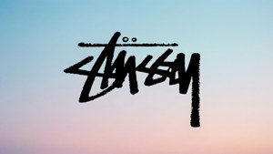 Silhouette Stussy