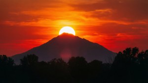 Silhouette Sunset