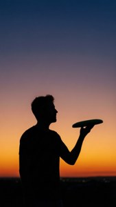 Silhouette Sunset Frisbee