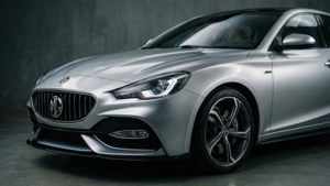 Silver Elegance