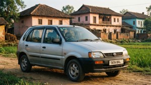 Silver Indica Village Morning