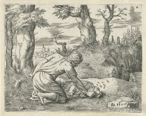 Simson vindt honing in de dode leeuw