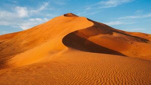 Singing Dune Texture