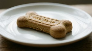 Single Biscuit Close-Up