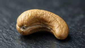 Single Cashew Macro