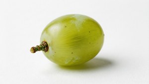 Single Green Grape
