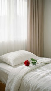 Single Rose on Pillow