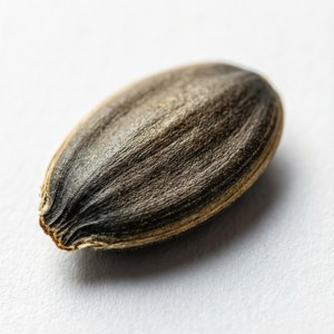 Single Seed Macro