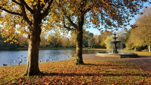 Singleton Park Autumn