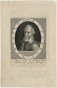 Sir Richard Grenville, Naval Commander