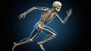 Skeleton in Motion