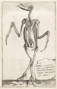 Art by Teodoro Filippo di Liagno