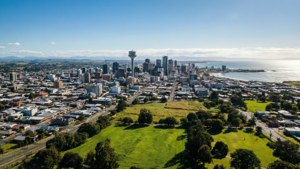 Skyline from Water Tower