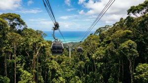 Skyrail Over Rainforest